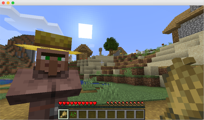 A Village and Villager in Minecraft